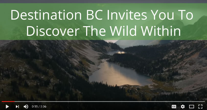Destination BC Wild Within Tourism Strategy