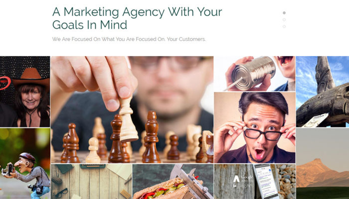The Web Advisors