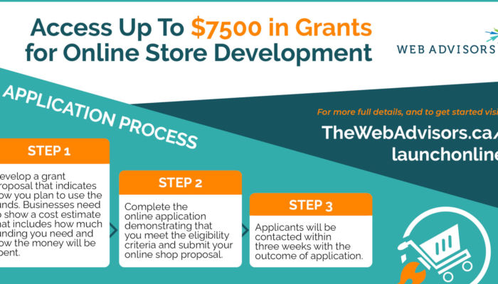 launch online grant program infographic